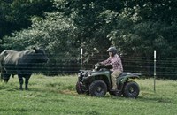 Yamaha Kodiak 450 EPS Diff Lock 2021 - Bild 8