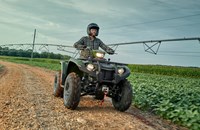 Yamaha Kodiak 450 EPS Diff Lock 2021 - Bild 3