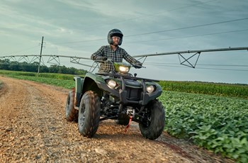 Yamaha Kodiak 450 EPS Diff Lock 2021 - Bild 3