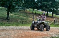 Yamaha Kodiak 450 EPS Diff Lock 2021 - Bild 12