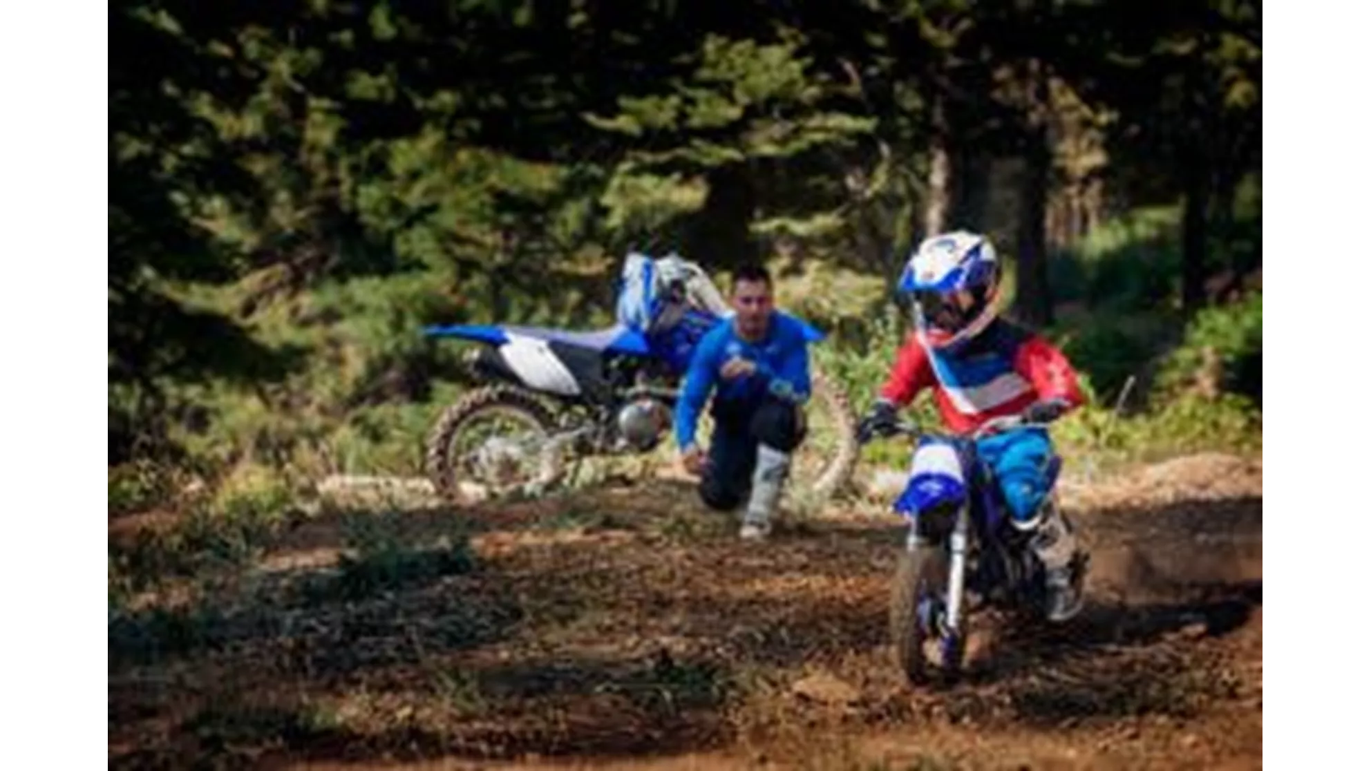 Yamaha PW50 - Image 5 Yamaha PW50 - Image 5