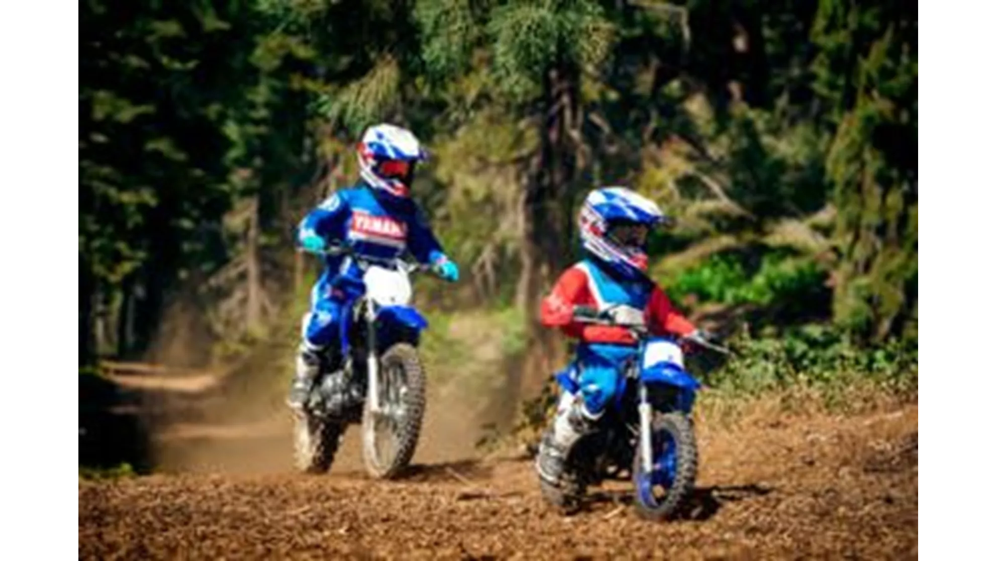 Yamaha PW50 - Image 9 Yamaha PW50 - Image 9