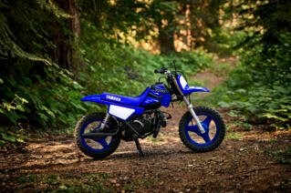 Yamaha PW50 2021 - Bild 12