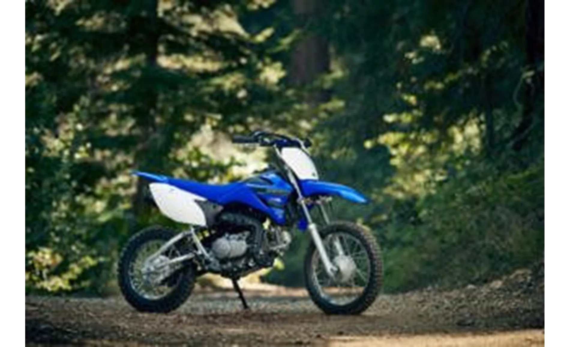 Yamaha TT-R110E 2021