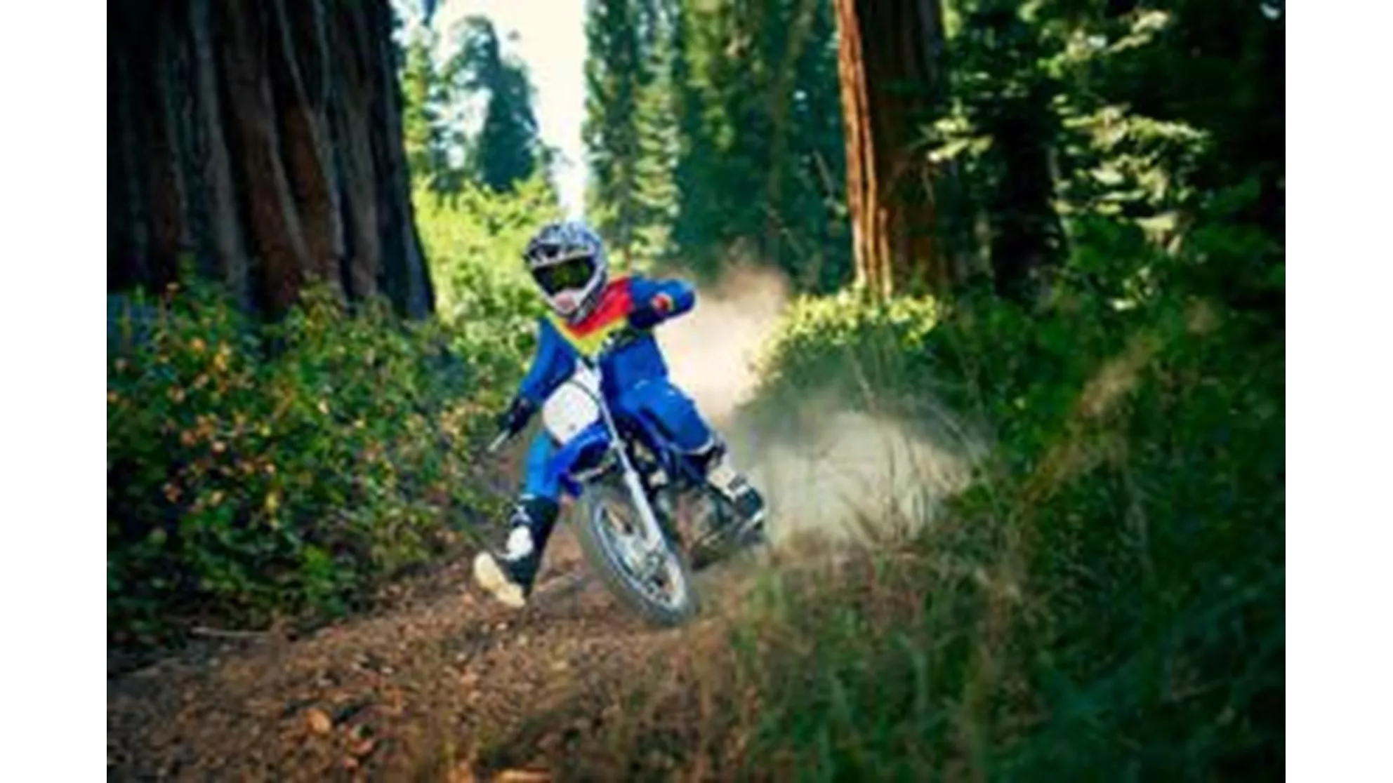 Yamaha TT-R110E - Image 6 Yamaha TT-R110E - Image 6