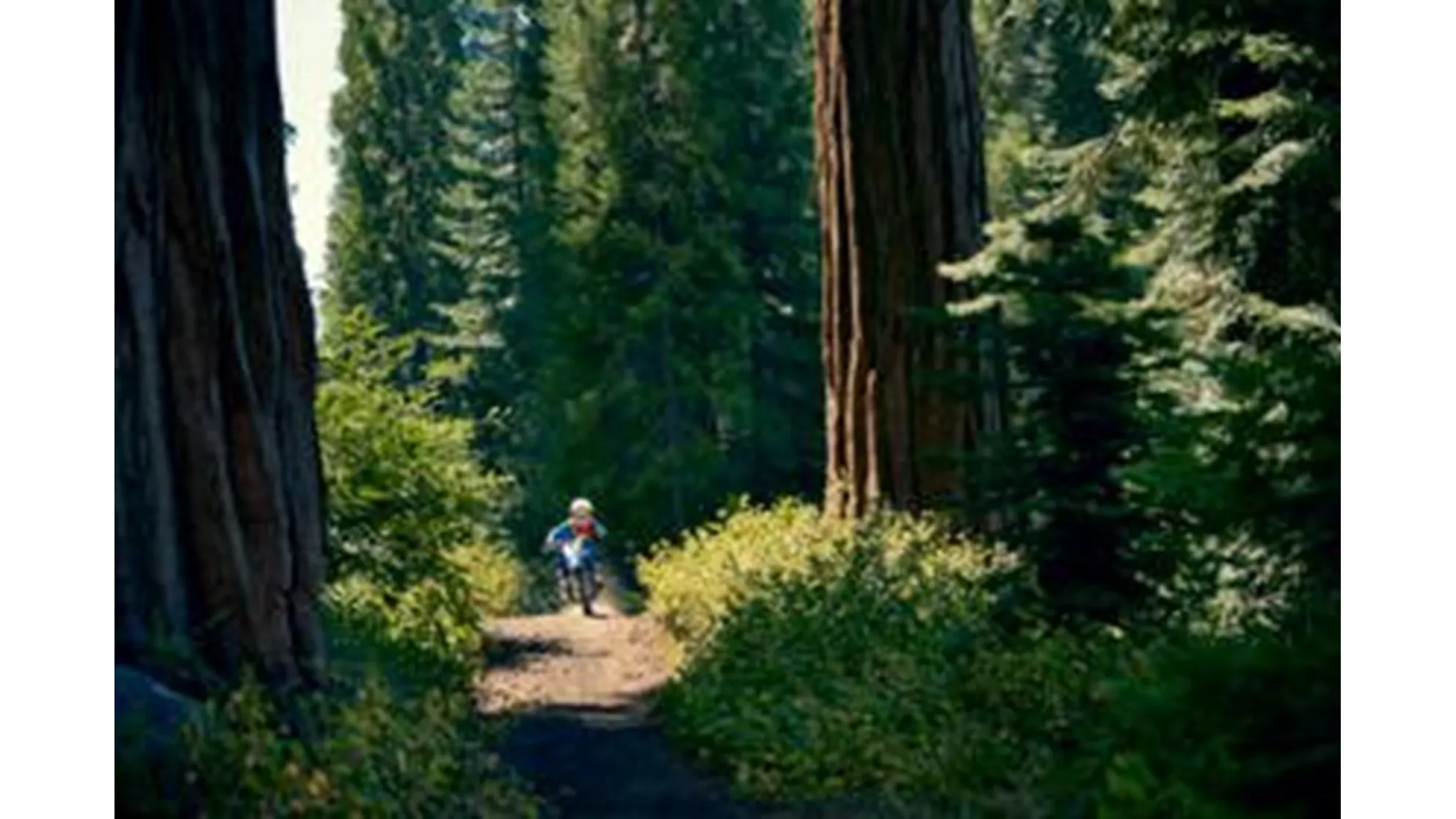 Yamaha TT-R110E - Image 7 Yamaha TT-R110E - Image 7