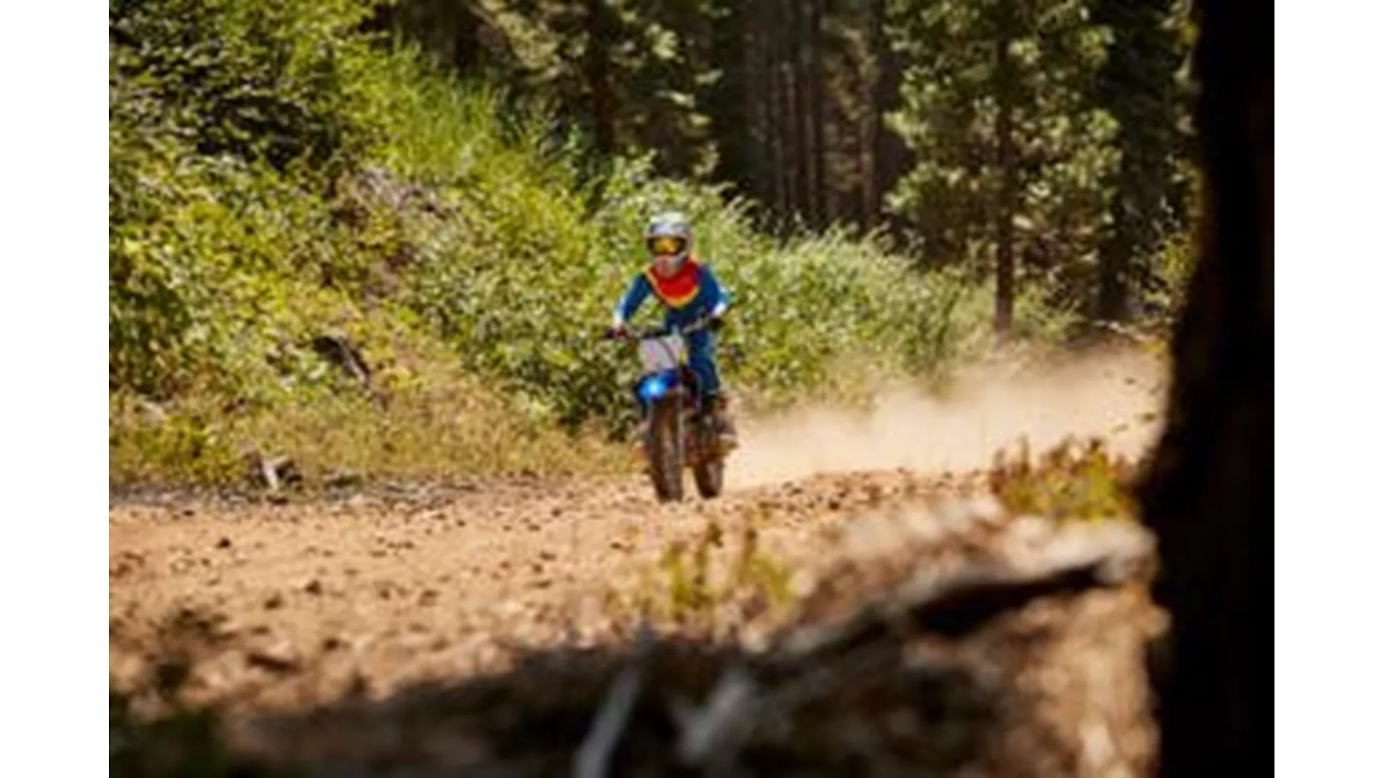 Yamaha TT-R110E - Image 12 Yamaha TT-R110E - Image 12