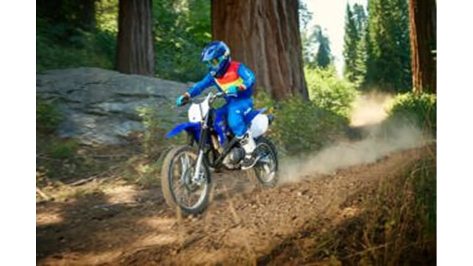 Yamaha TT R125 LW / E - Imagen 1 Yamaha TT R125 LW / E - Imagen 1