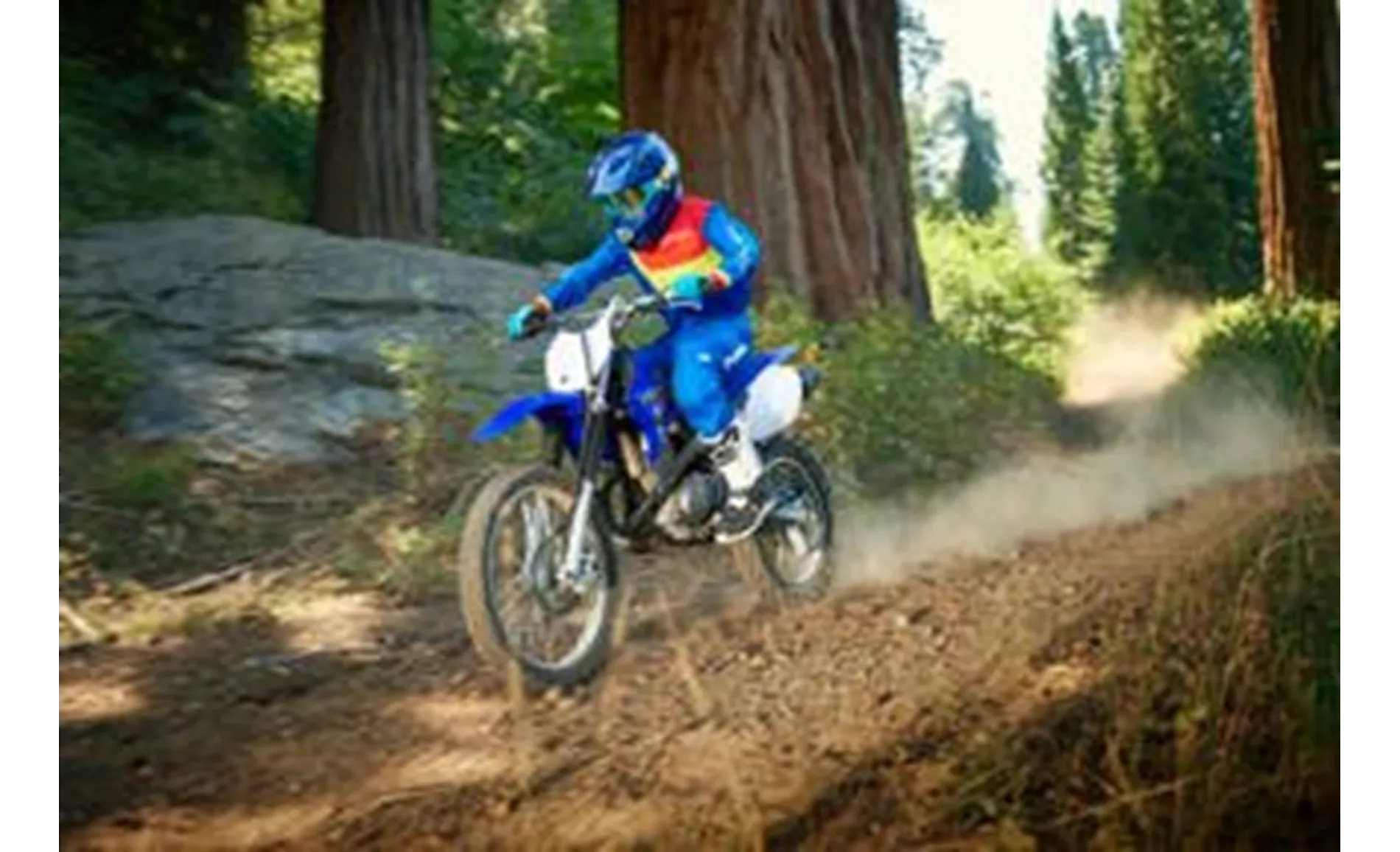 Yamaha TT R125 LW / E 2021 Yamaha TT R125 LW / E 2021