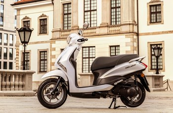Yamaha D'elight 2021 - Bild 11 Yamaha D'elight 2021 - Bild 11