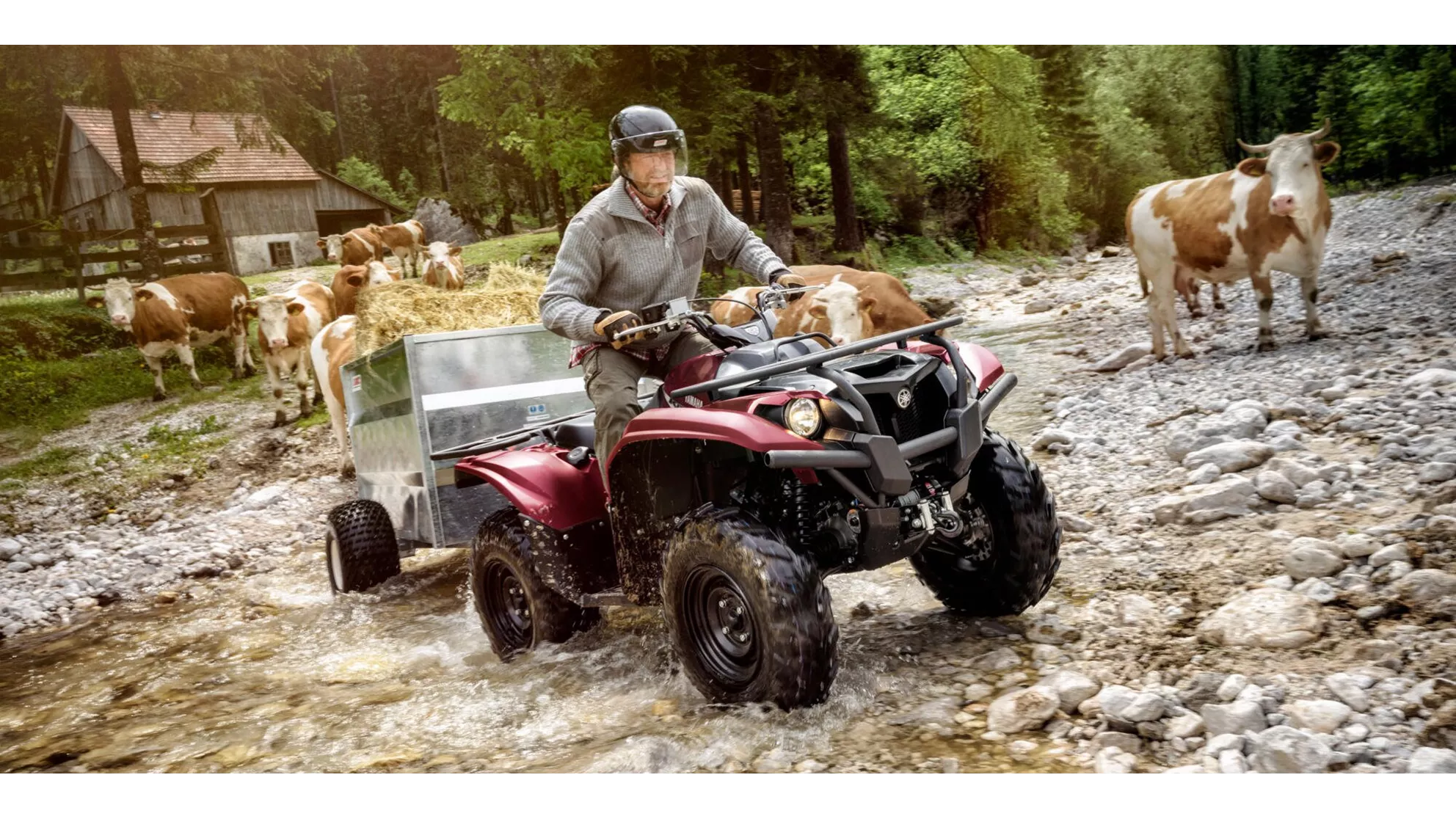 Yamaha Kodiak 700 - Image 4 Yamaha Kodiak 700 - Image 4