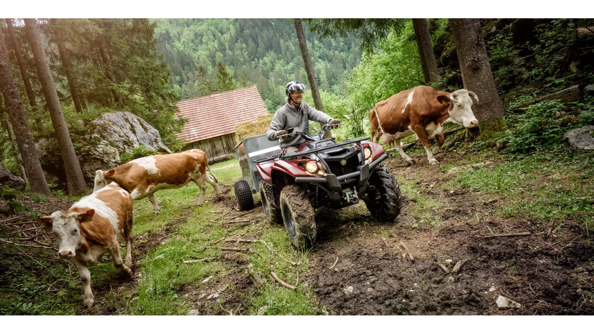 Yamaha Kodiak 700 - Image 2 Yamaha Kodiak 700 - Image 2