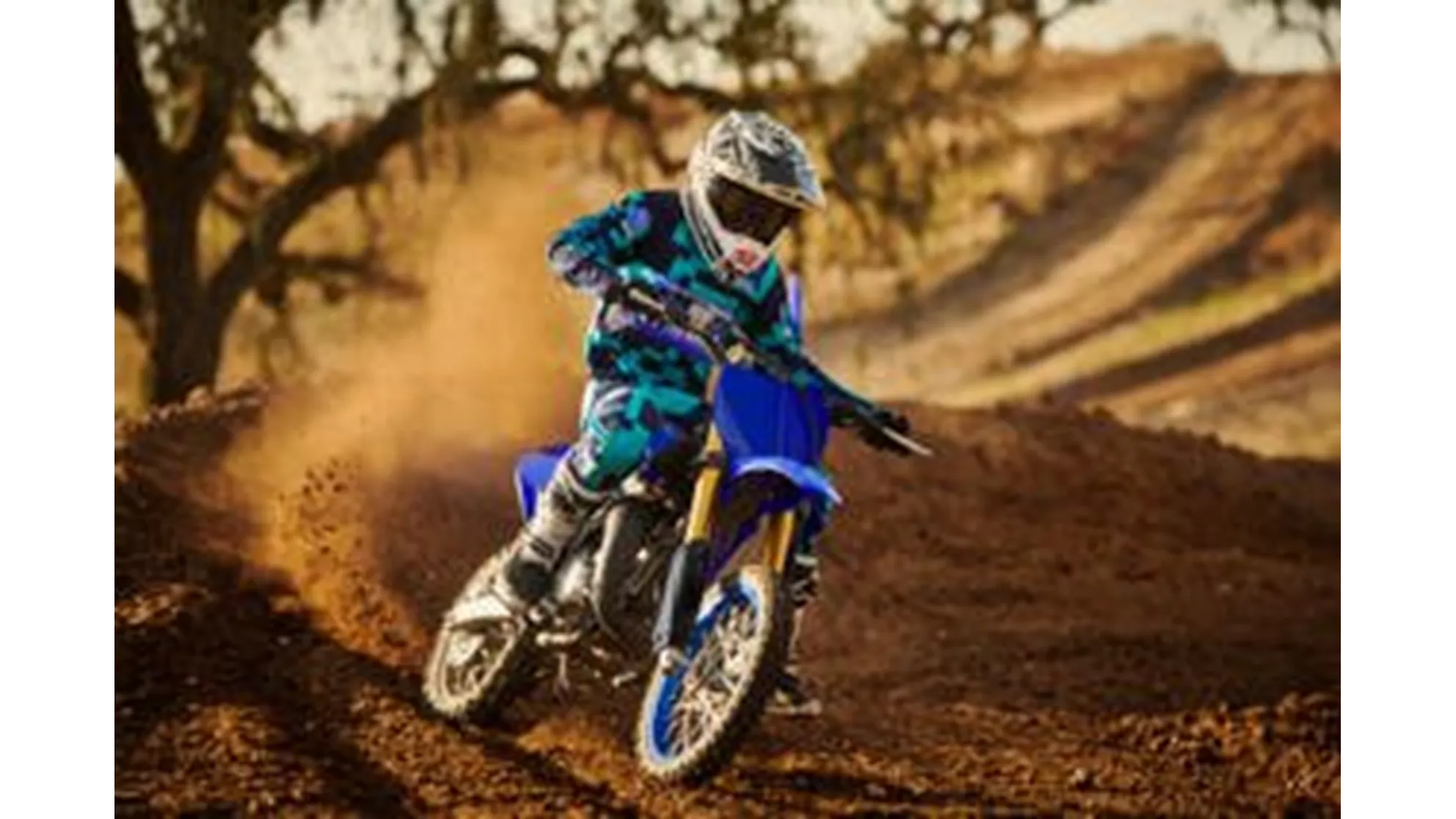 Yamaha YZ65 - Image 6 Yamaha YZ65 - Image 6