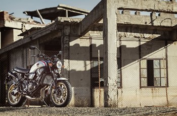 Yamaha XSR700 XTribute 2021 - Bild 17 Yamaha XSR700 XTribute 2021 - Bild 17