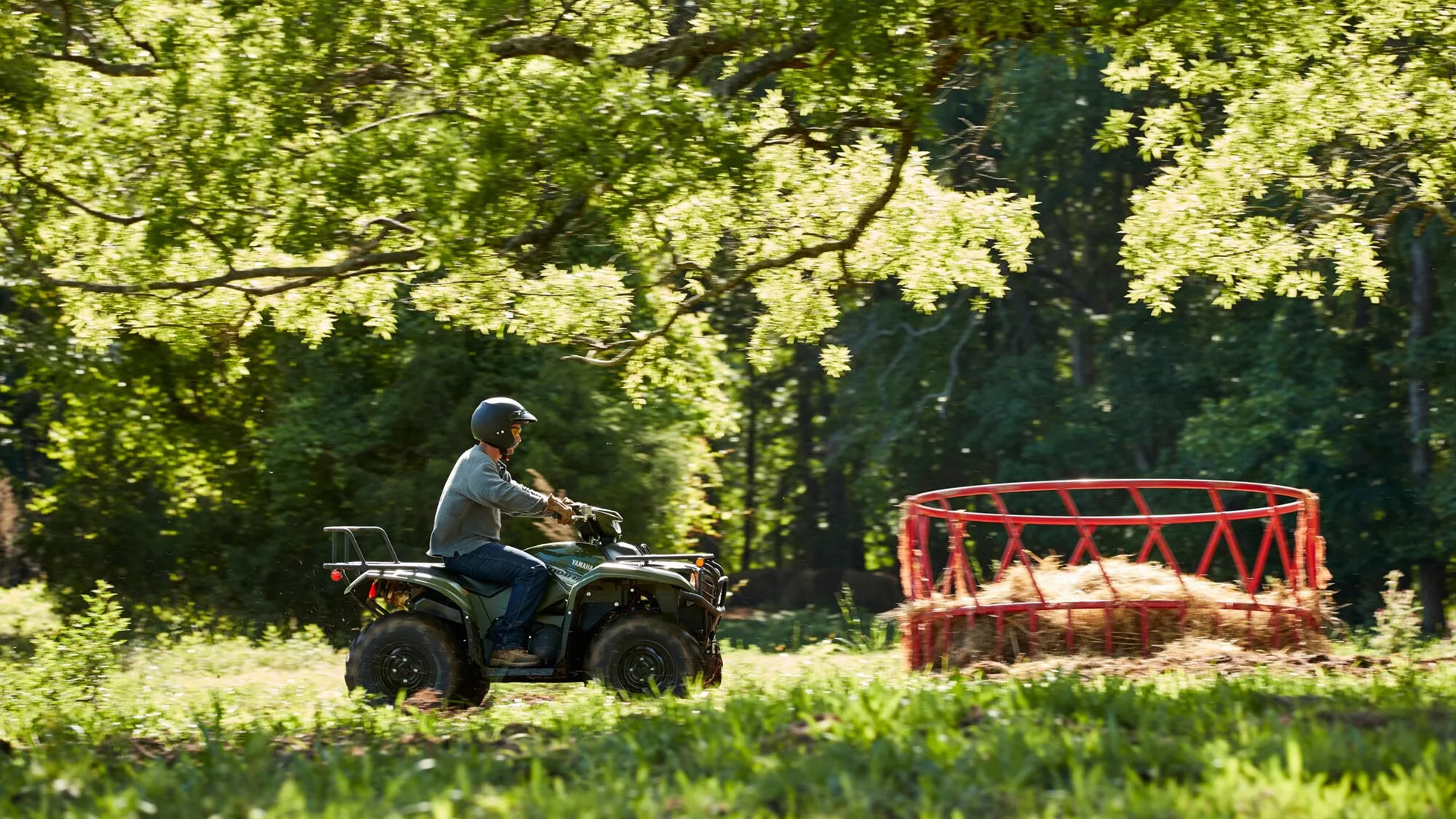 Yamaha Kodiak 700 EPS - Image 3 Yamaha Kodiak 700 EPS - Image 3
