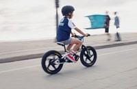 Husqvarna Replica 12 eDrive 2021 - Bild 3