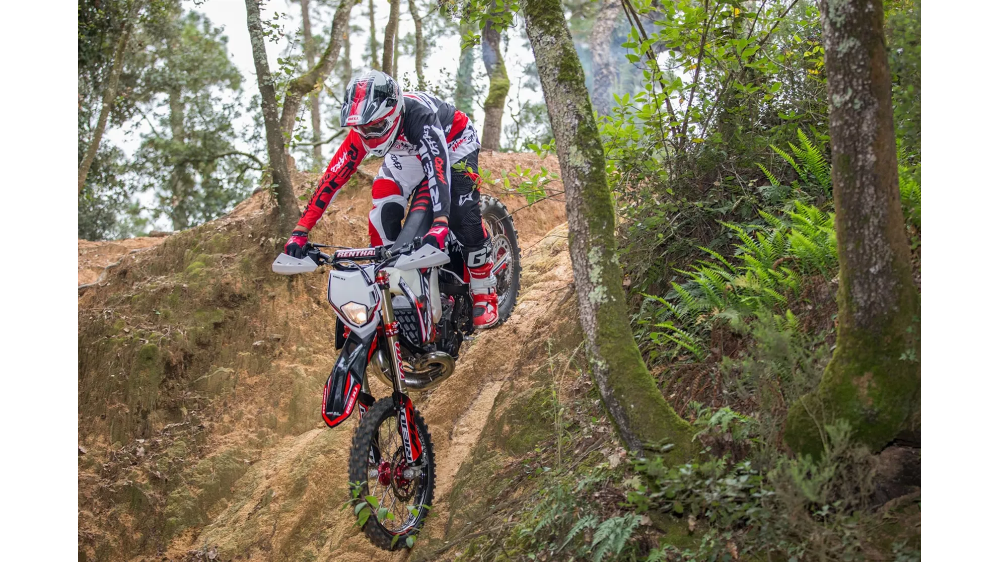 Rieju MR PRO - Image 10 Rieju MR PRO - Image 10