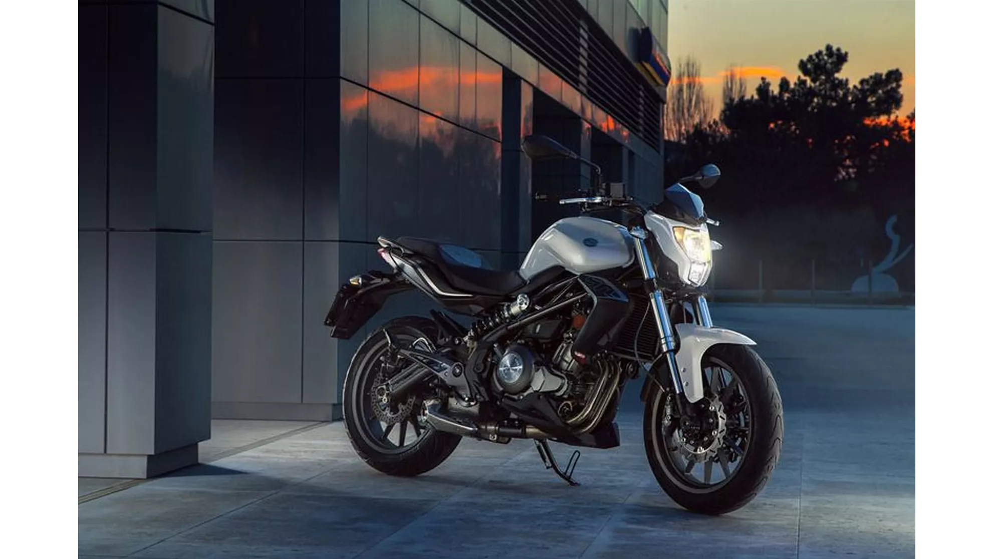 Benelli BN 302 - Image 15 Benelli BN 302 - Image 15