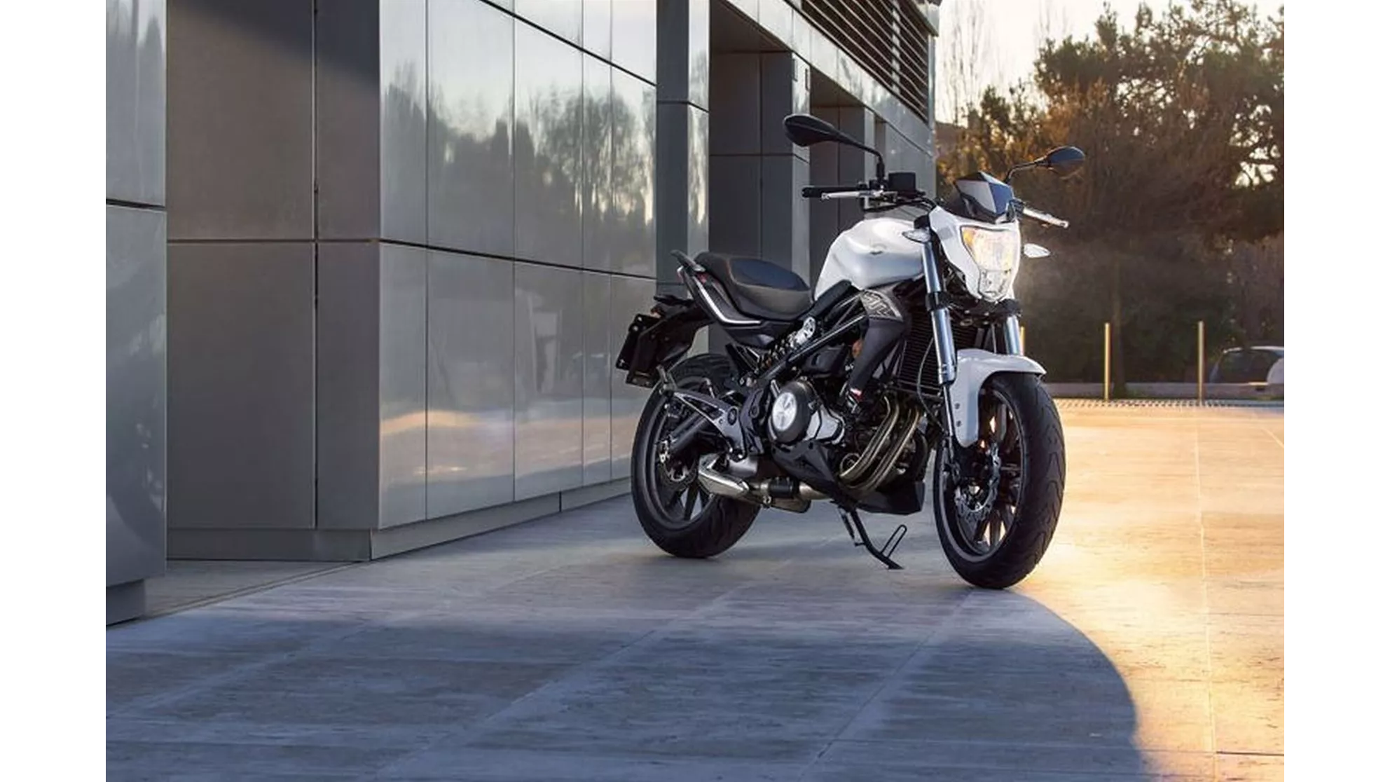 Benelli BN 302 - Image 22 Benelli BN 302 - Image 22