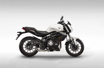 Benelli BN 302 2021 - Bild 64 Benelli BN 302 2021 - Bild 64