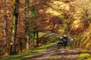 Mash Side Force 2021 - Bild 23