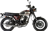 Mash Seventy Five 2021 - Bild 11