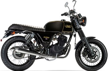 Mash Black Seven 2021 - Bild 2