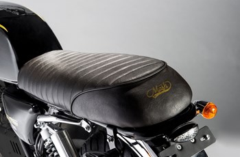 Mash Black Seven 2021 - Bild 4