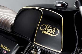 Mash Black Seven 2021 - Bild 6