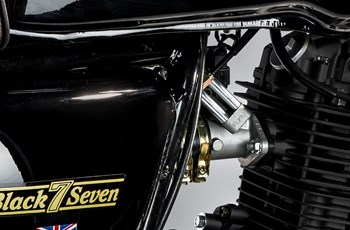 Mash Black Seven 2021 - Bild 7