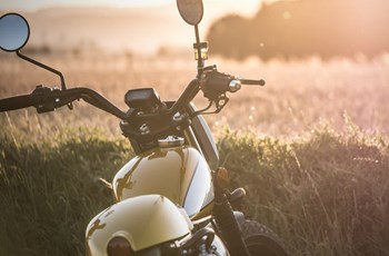 Mash Dirt Track 50 2021 - Bild 20 Mash Dirt Track 50 2021 - Bild 20