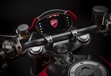 Ducati Monster + 2021 Bilder