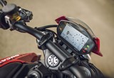 Ducati Monster + 2021 Bilder