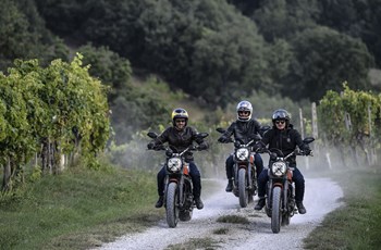 Ducati Scrambler Icon 2021 - Bild 7 Ducati Scrambler Icon 2021 - Bild 7