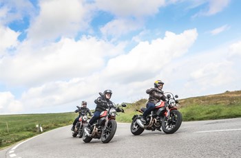 Ducati Scrambler Icon 2021 - Bild 11 Ducati Scrambler Icon 2021 - Bild 11