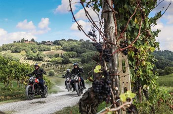 Ducati Scrambler Icon 2021 - Bild 12 Ducati Scrambler Icon 2021 - Bild 12