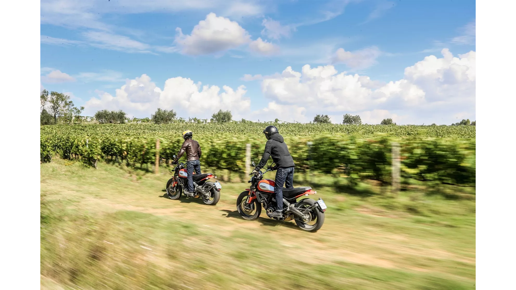Ducati Scrambler Icon - Image 14 Ducati Scrambler Icon - Image 14