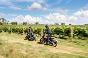 Ducati Scrambler Icon 2021 - Bild 17 Ducati Scrambler Icon 2021 - Bild 17
