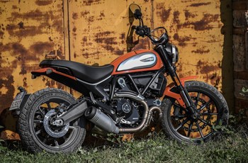 Ducati Scrambler Icon 2021 - Bild 31 Ducati Scrambler Icon 2021 - Bild 31