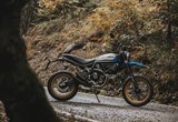 Ducati Scrambler Desert Sled 2021 Bilder