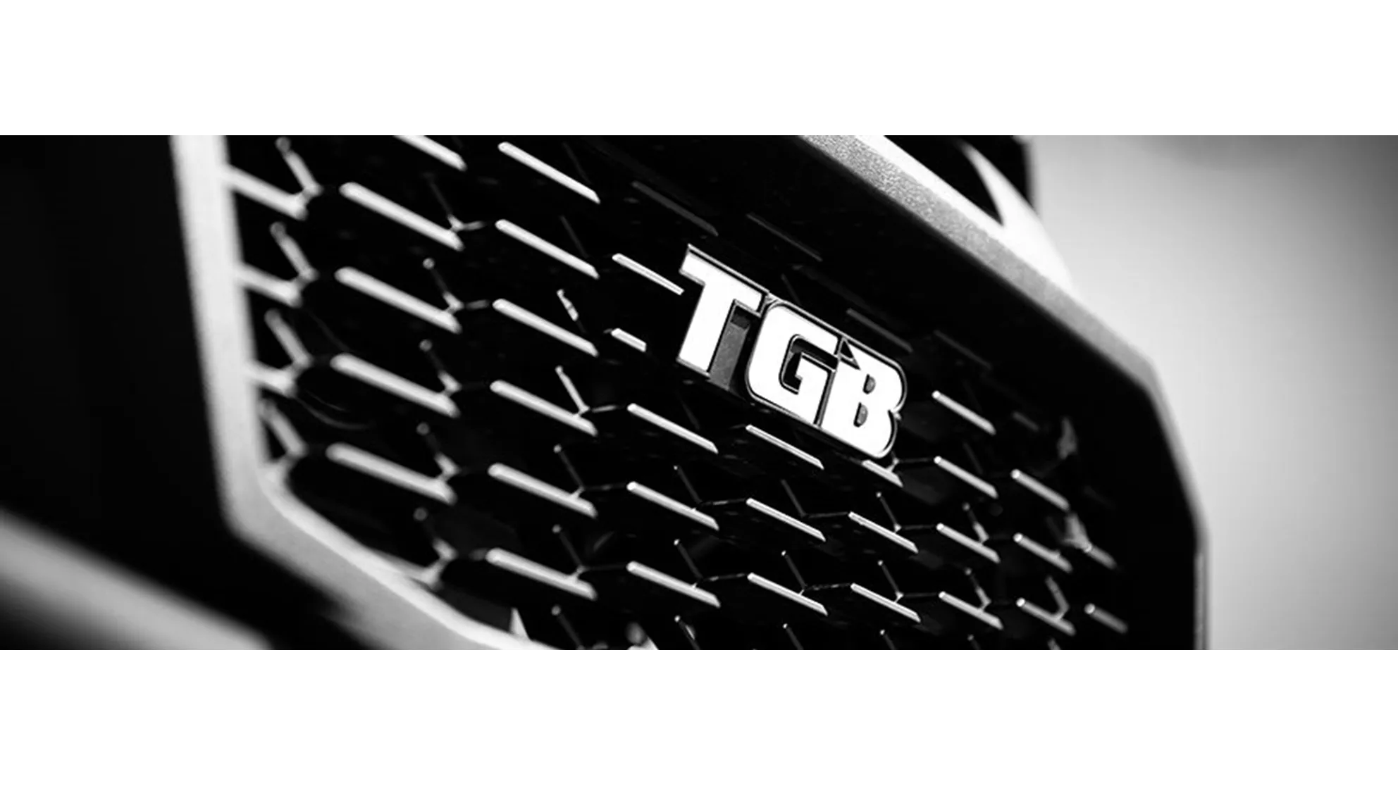 TGB Blade 1000 LT FL EPS Silver Edition LOF - Image 5 TGB Blade 1000 LT FL EPS Silver Edition LOF - Image 5