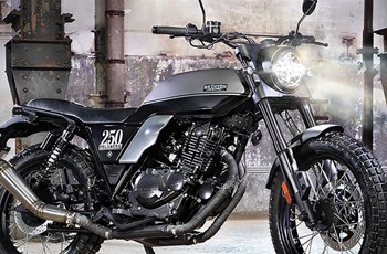 Brixton Felsberg 250 2021 - Bild 4