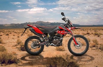 United Motors UM DSR EX 125 2021 - Bild 3