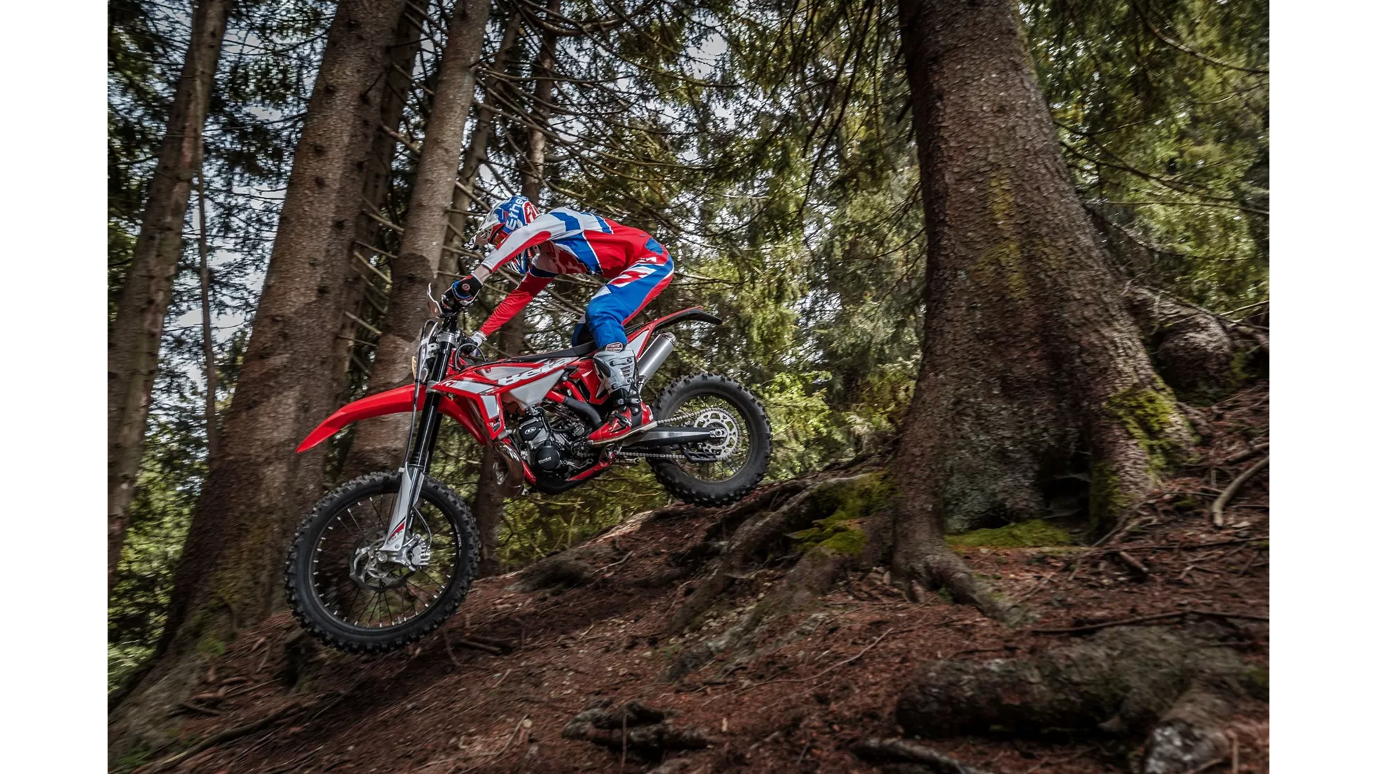 Beta RR 250 2T - Image 13 Beta RR 250 2T - Image 13