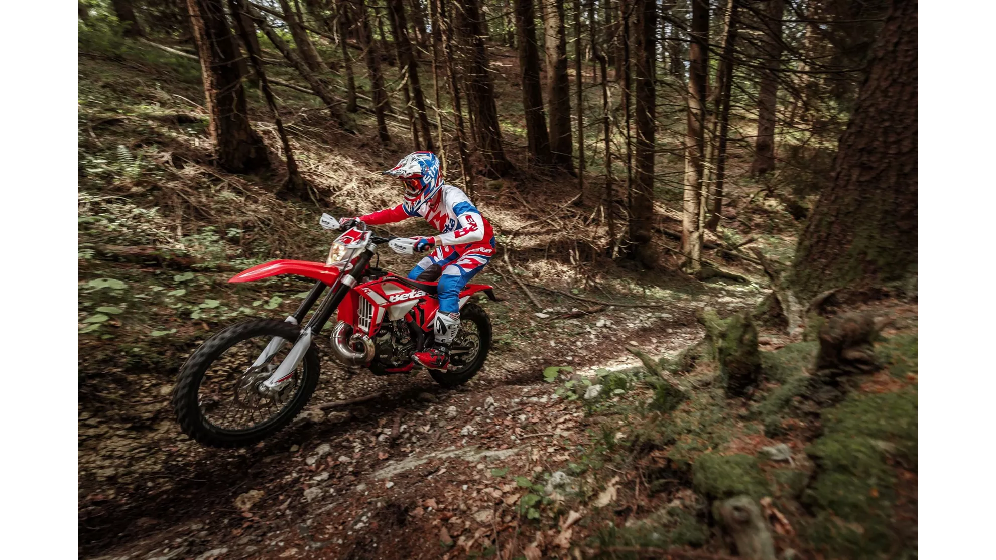 Beta RR 300 2T - Image 8 Beta RR 300 2T - Image 8