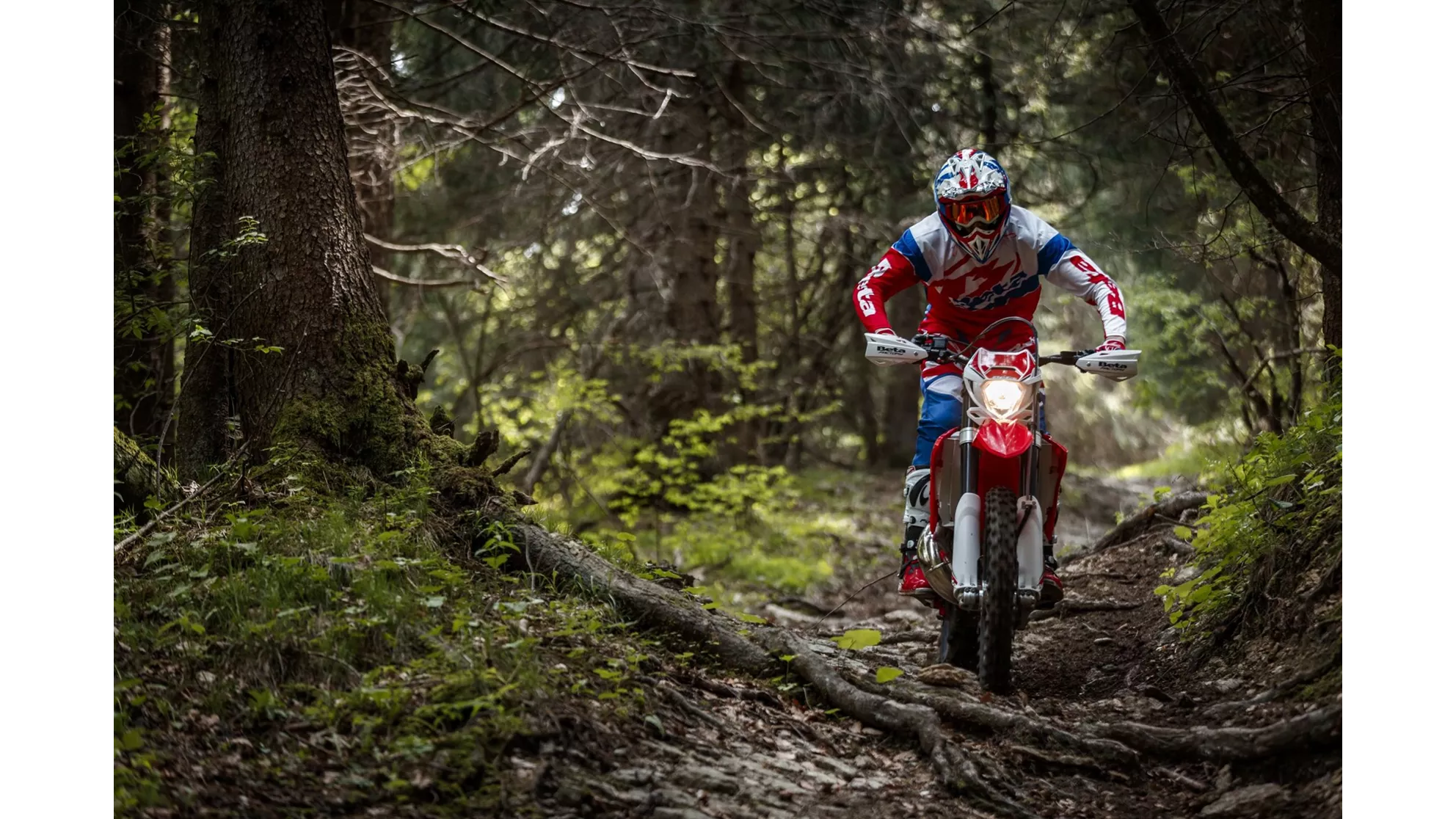 Beta RR 300 2T - Image 11 Beta RR 300 2T - Image 11