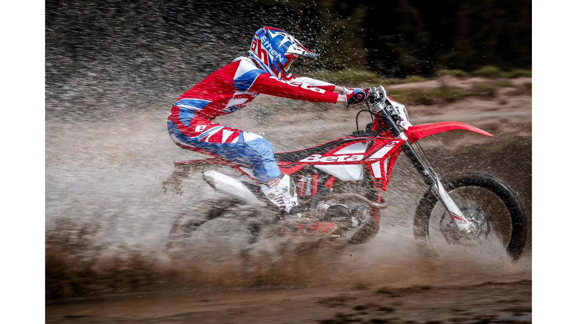 Beta RR 480 - Image 6 Beta RR 480 - Image 6