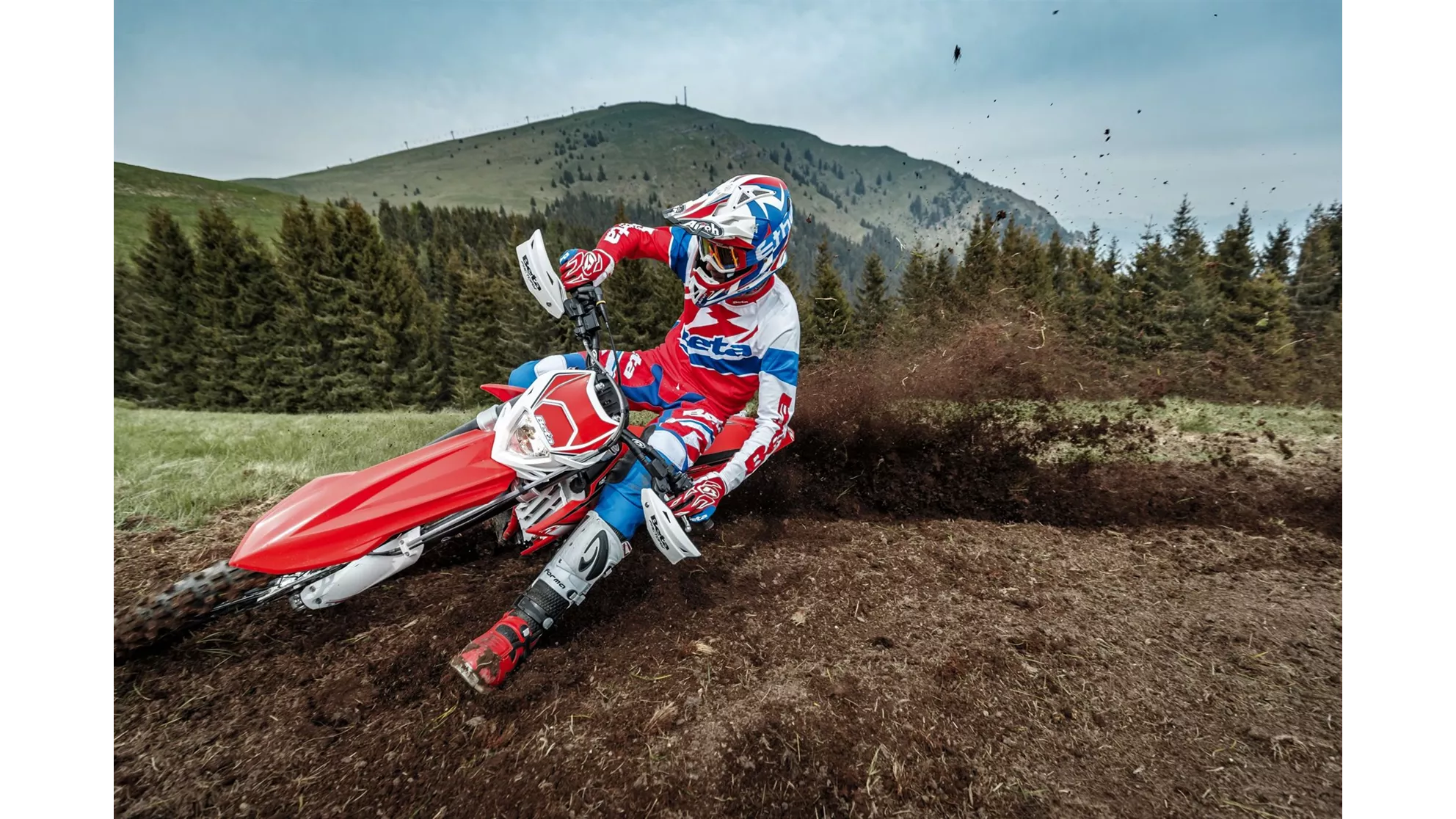 Beta RR 480 - Image 11 Beta RR 480 - Image 11