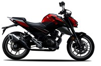 FK Motors FK 12 SF Street-Fighter 2021 - Bild 3