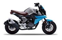 FK Motors FK 12 MS Mini Scrambler 2021 - Bild 1